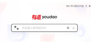 如何在有道翻译词典中查看单词的动词过去式?