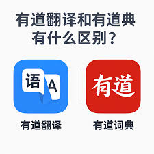 有道翻译词典支持查询西班牙语的不规则动词吗？